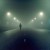 Illustration du profil de Nothing But Silence